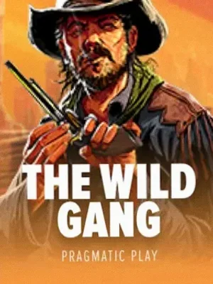 The Wild Gang at Lucky Vibe